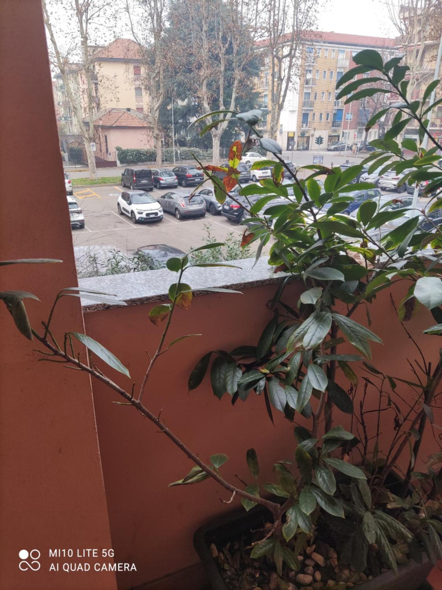Hostal D'Annunzio House Cesano Boscone Dış mekan fotoğraf