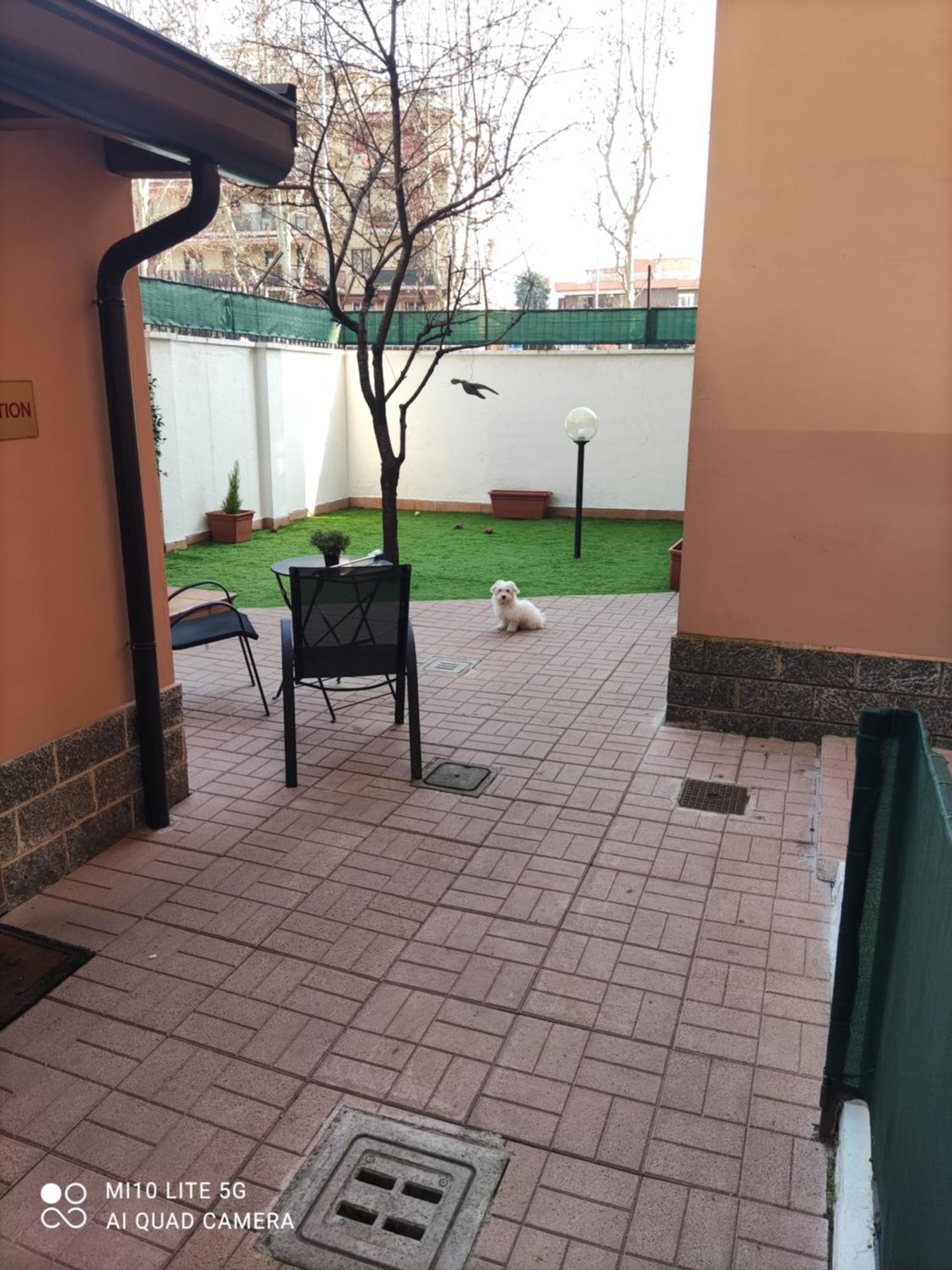 Hostal D'Annunzio House Cesano Boscone Dış mekan fotoğraf